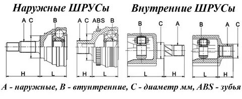 Размеры шруса калина