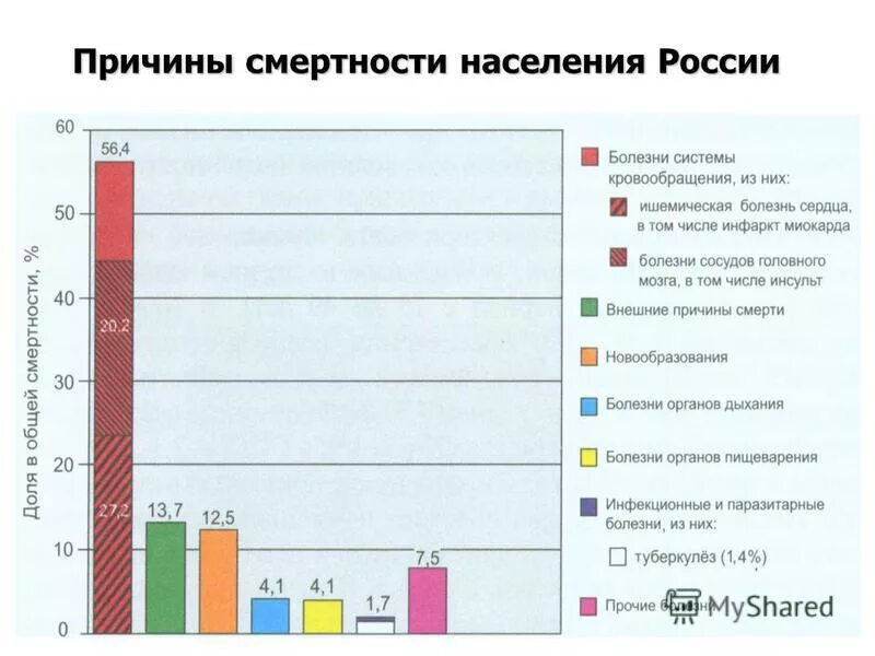 Причины роста заболеваний