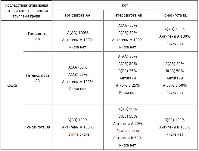 Группы крови у кошек. Сколько групп крови у котов. Группа крови у кошек таблица. Группы крови кошек совместимость.