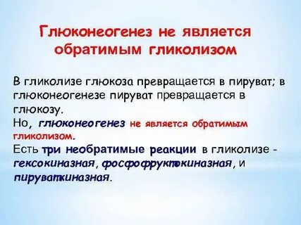 Глюконеогенез это