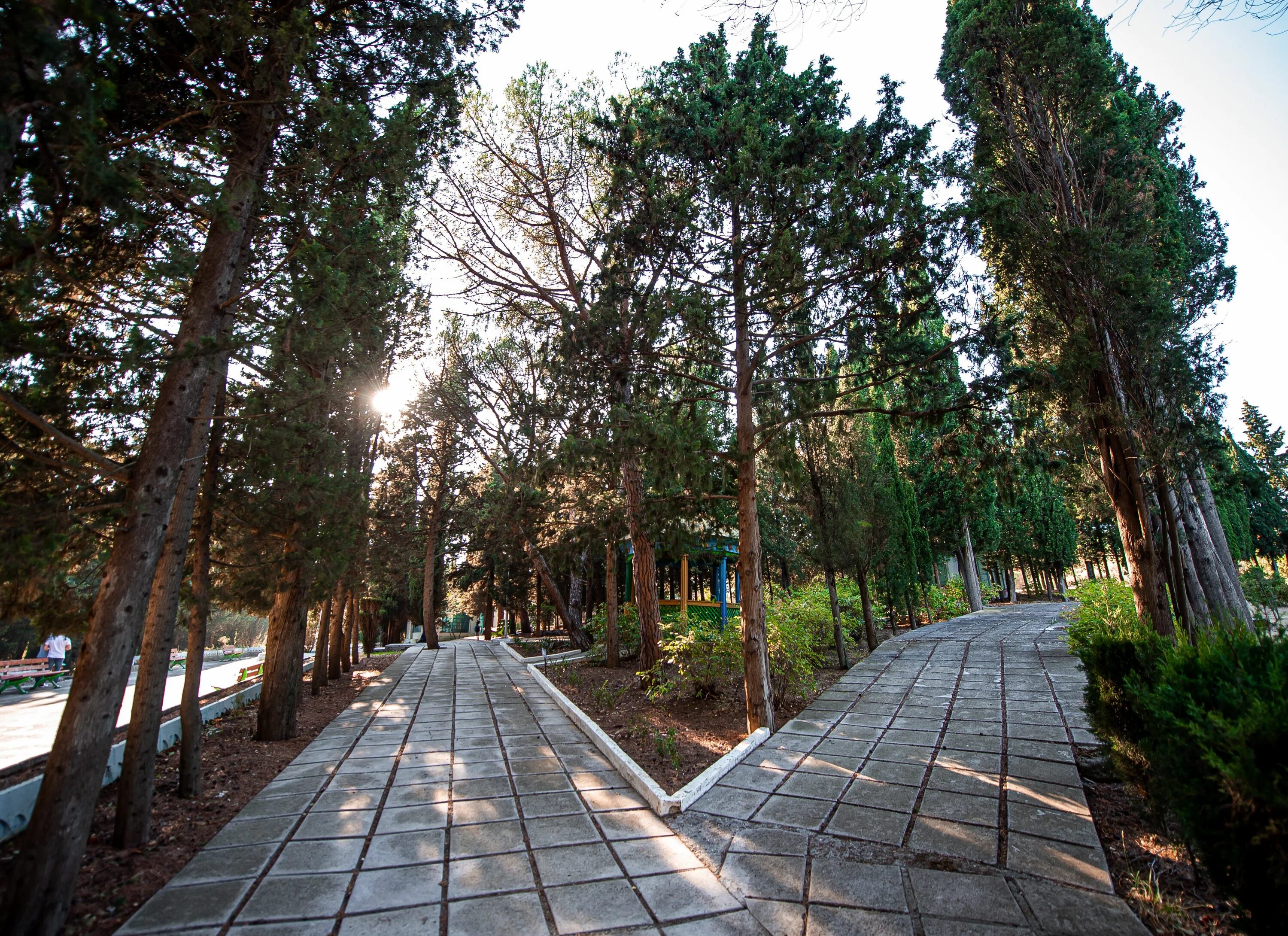 Дача бекетова. Дача бекетова в алуште. пляж дача бекетова алушта. дом музей бекетова в алуште. санаторий бекетова.