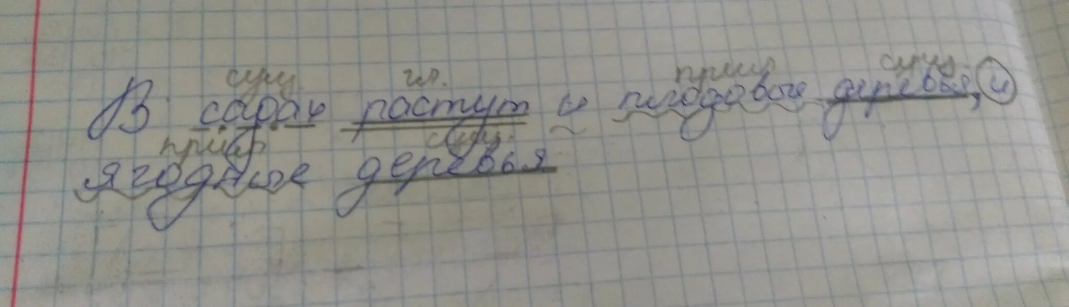 Синтаксический разбор слова деревья. Синтаксический разбор предложения в саду росли яблони. Синтаксический разбор в садах растут и плодовые деревья. Дерево синтаксического разбора. Синтаксический разбор и ягодные деревья.