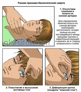 Симптом кошачьей царапины