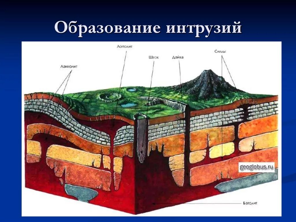 Горные породы образуют земную кору