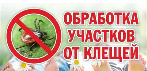 Обработка от клеща при какой температуре