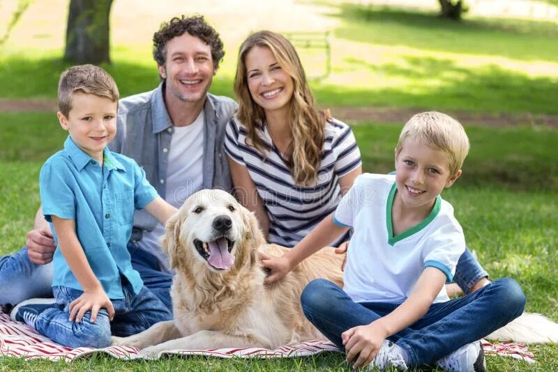 Your family a dog