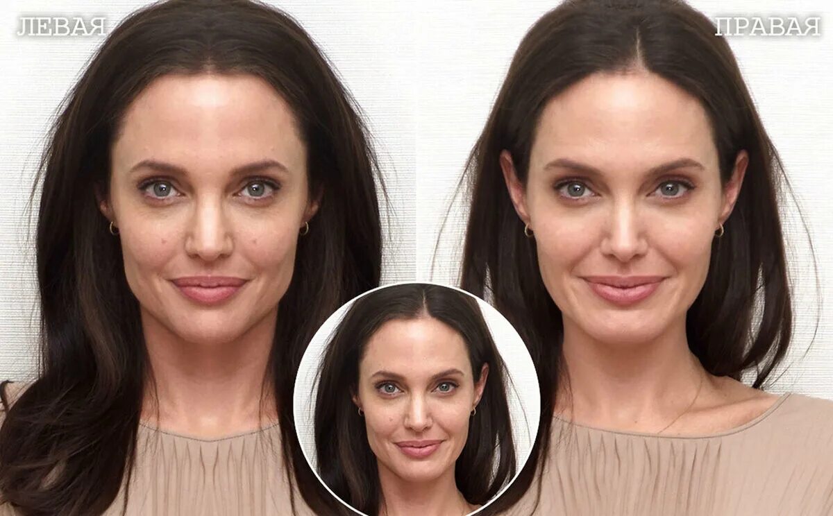 Анджелина Джоли асимметрия лица. Анджелина Джоли симметрия лица. Симметричность лица Анджелины Джоли. Асимметрия Джоли Анджелина Джоли.