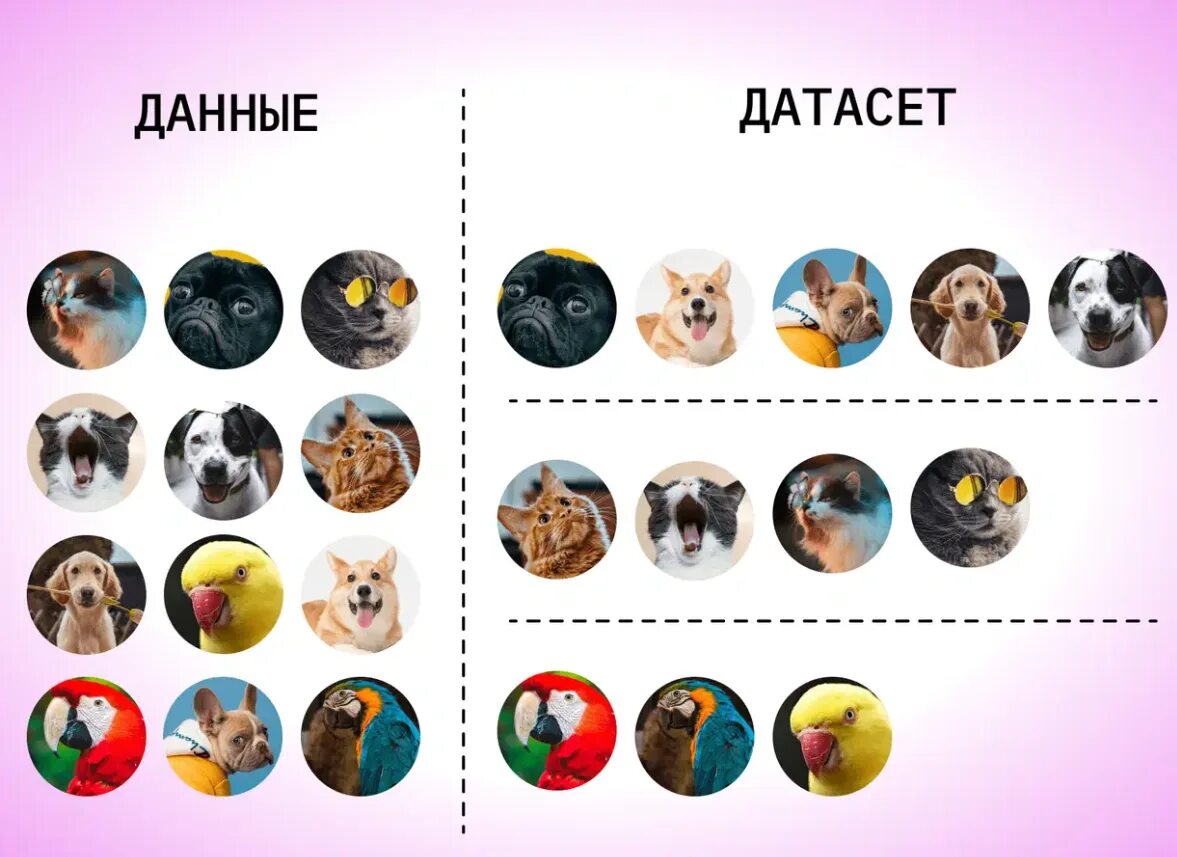 Дата сет это. Датасет кошки. дата сет. источники датасетов. примеры создания датасет.