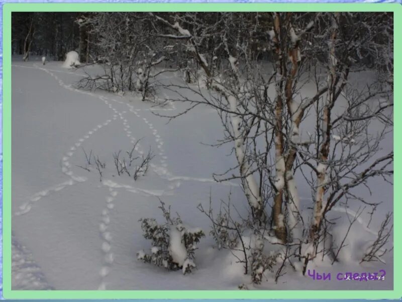 Снежная зима. Станислав юлианович жуковский зимние картины. Фотографии зимы. Зимой в лесу. Художник дмитрий левин "зимний деревенский пейзаж ".