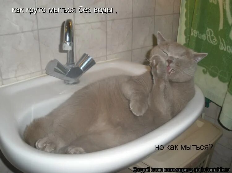 анекдот про душу. помылся мем.