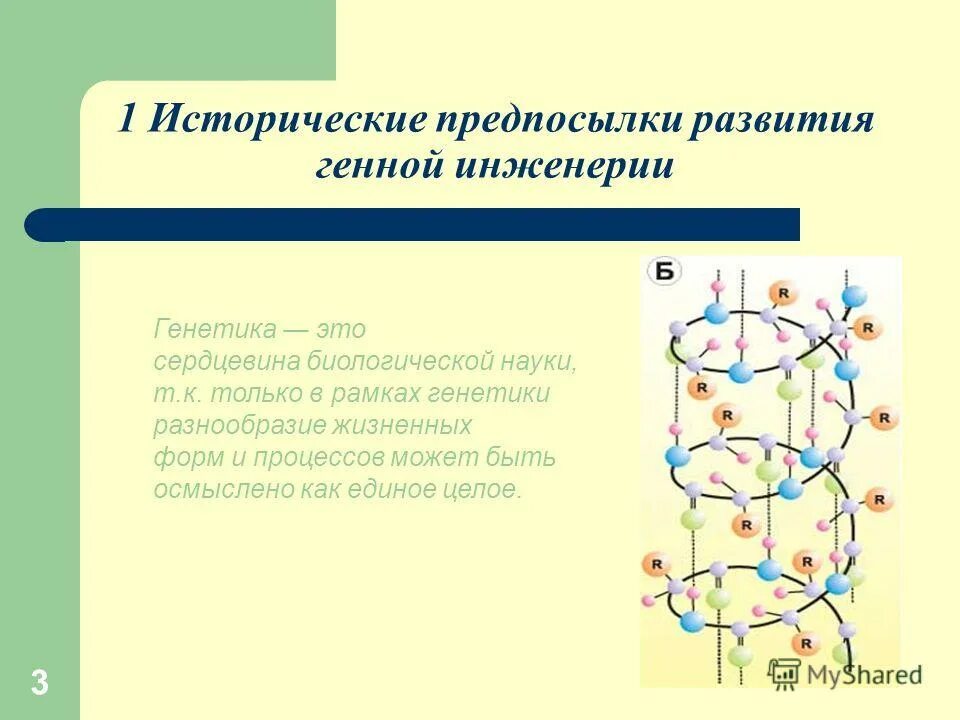 чистые линии в генетике схема. понятие чистой линии. чистая линия генетика. генетика это наука о. линия в генетике это.