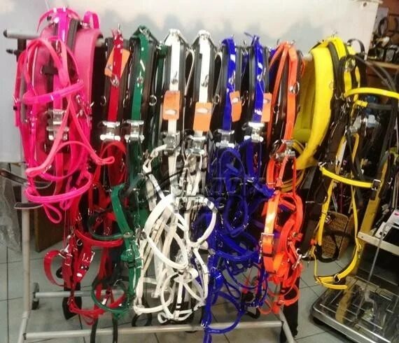 конные магазины в питере. элитный конный клуб. конные магазины в питере. конные магазины в москве. конный магазин санкт петербург.