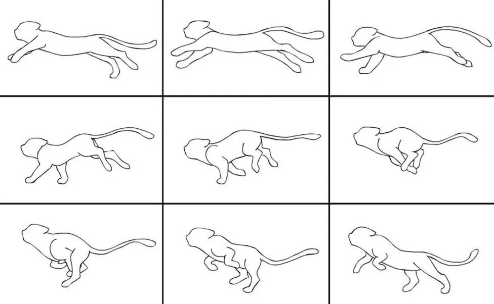 Движение первых кот. Бег кошки референс. Кошка бежит референс. Животные в движении. Зарисовки животных в движении.