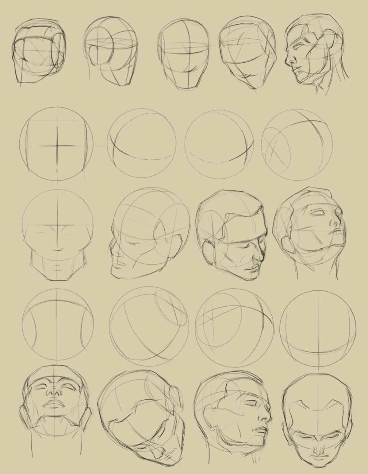 Эндрю Лумис построение головы. Анатомия головы для рисования. Поэтапное рисование головы. Анатомия человеческого лица для рисования. Референс головы человека