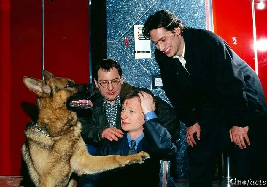Комиссар рекс 17. Хайнц вайксельбраун комиссар рекс. комиссар рекс 1994. тобиас моретти комиссар рекс. алекс брандтнер и рекс.