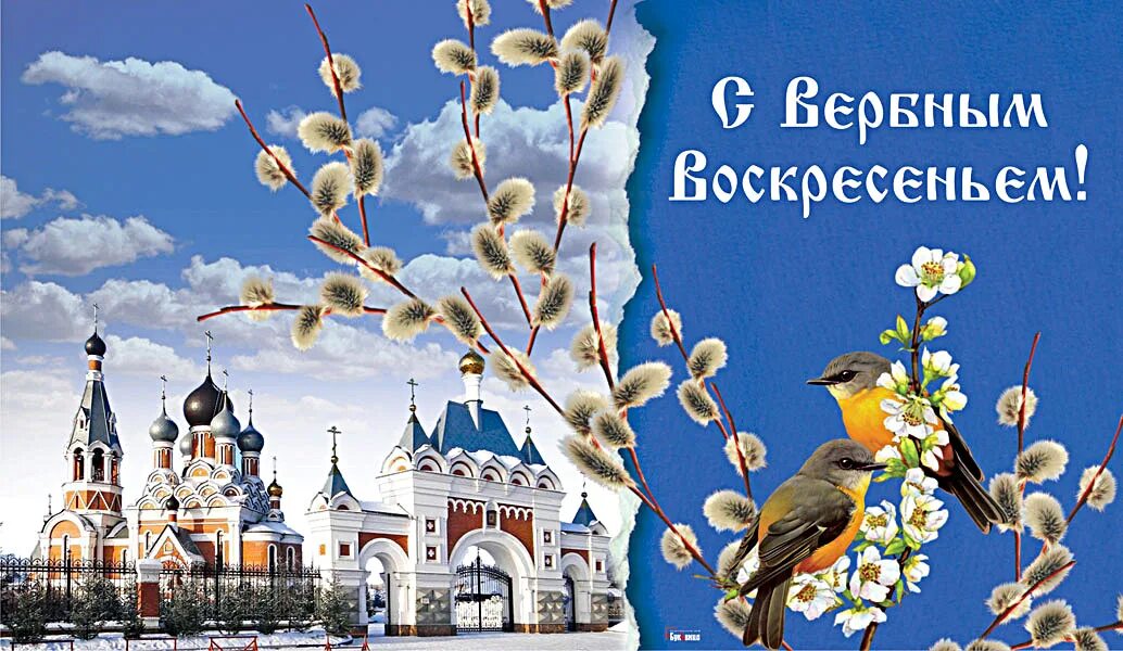 С вербным воскресеньем православные. С вербным воскресеньем. с вербным воскресеньем открытки. с праздником вербное воскресенье. вербное воскресенье картинки.