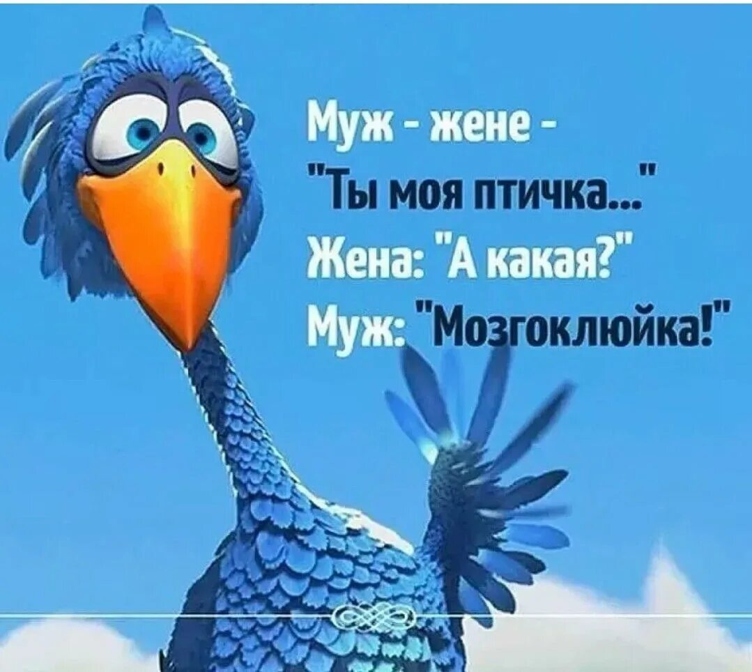 Мозгоклюй