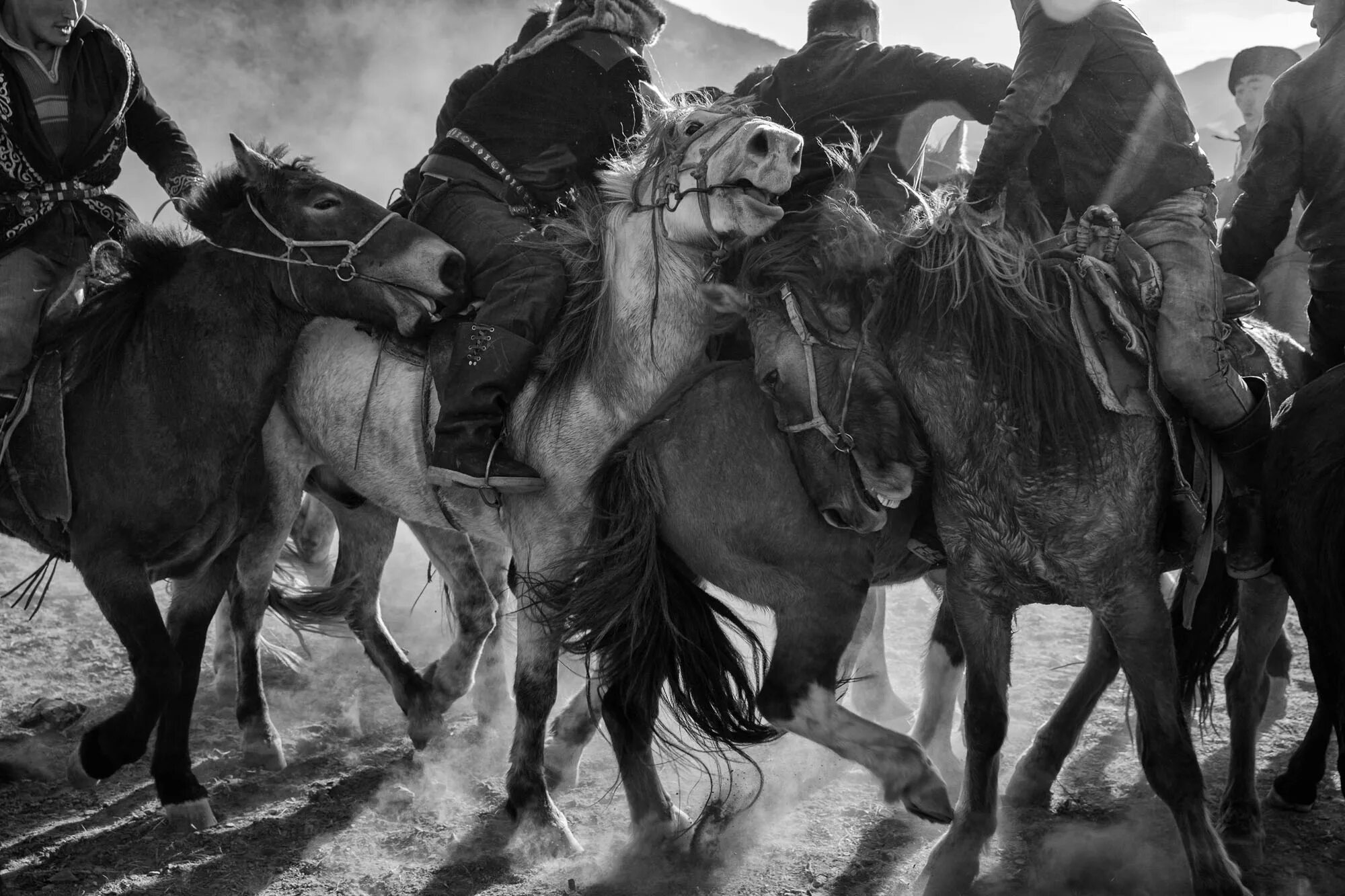 Традиции казахов связанные с лошадьми. Австралийские казахи. Казахский бай. Мохан лошадь. Киргизские фотографы документалисты.