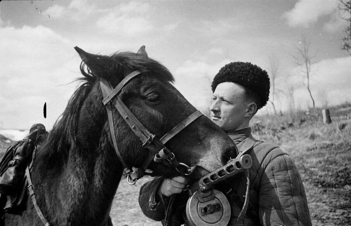 Песня приеду приеду на боевом коне. Кавалерист РККА 1941. Кони на войне 1941-1945. Советская кавалерия в ВОВ 1941-1945. Лошади в ВОВ 1941-1945 гг.