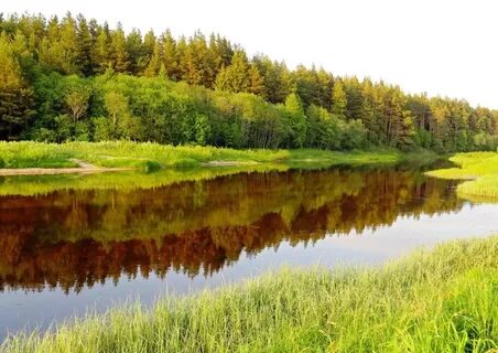 Тверская область контакты
