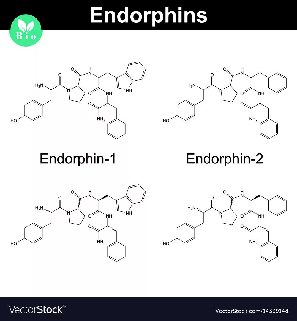 Эндорфин. Эндорфин формула. Эндорфин молекула. Эндорфин формула химическая. Панда эндорфин