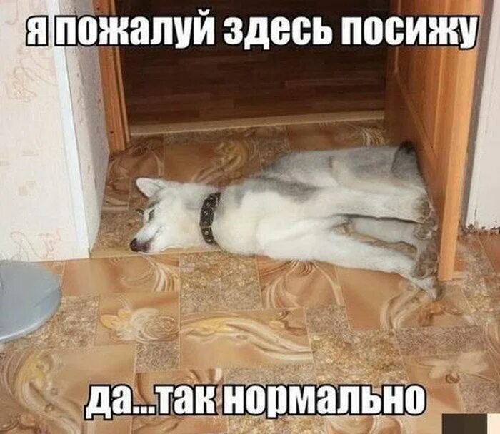 Придется посидеть