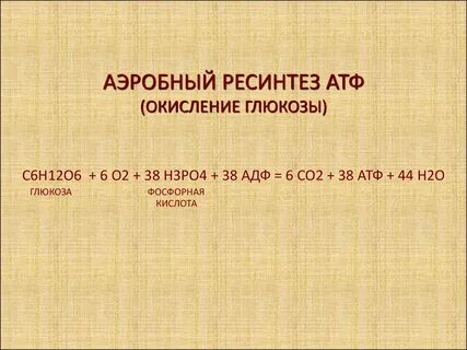 Источники ресинтеза атф