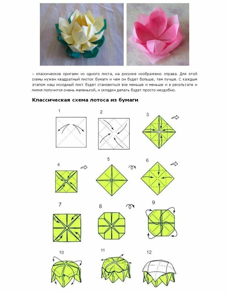 Оригами из бумаги схемы пошагово цветы. Оригами из бумаги для начинающих цветы простые схемы. Цветы оригами из бумаги своими руками схемы поэтапно легко. Оригами цветок схема для начинающих пошагово.
