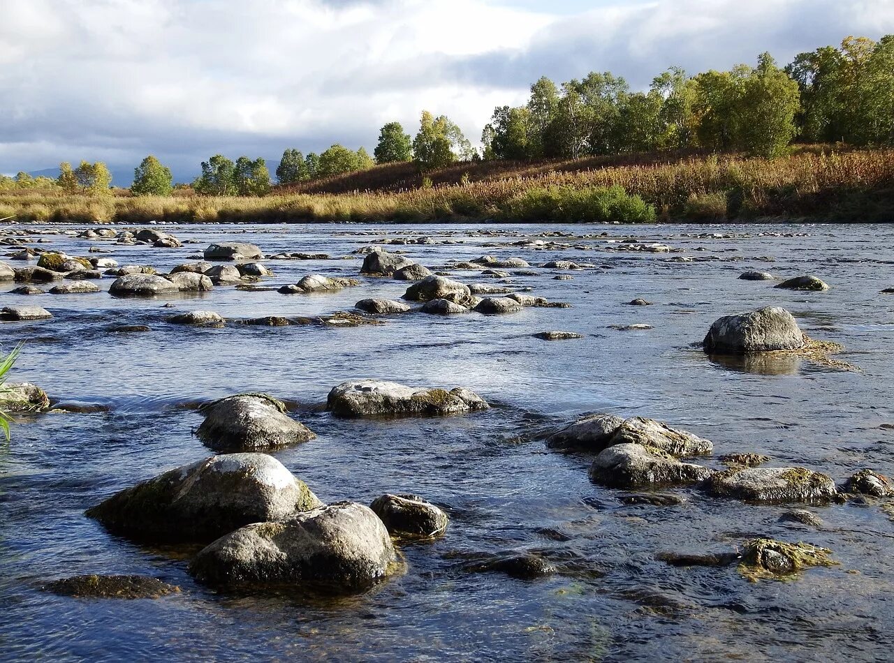 Река тифина. Речное русло. Река Возжайка. Русло реки фото. Back river