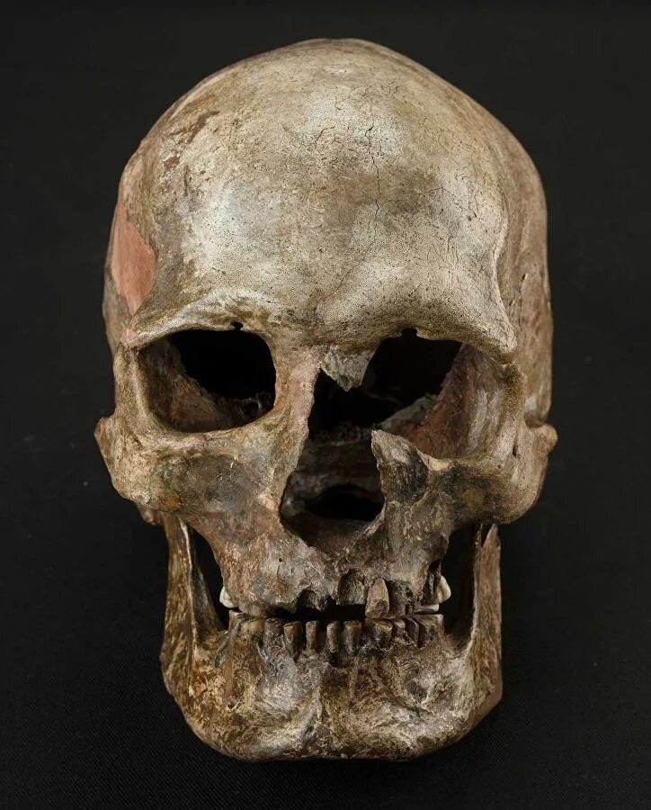 Череп древнего человека и современного. Череп неандертальца и кроманьонца. Дманиси череп древнего.