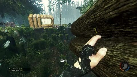 Что делать в the forest