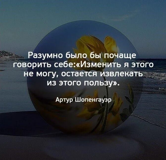 Изменить я этого не могу остается извлекать из этого пользу. Разумные высказывания. Цитаты о разумности. Разумные люди, высказывания. Из всей жизни можно извлечь одну мудрость