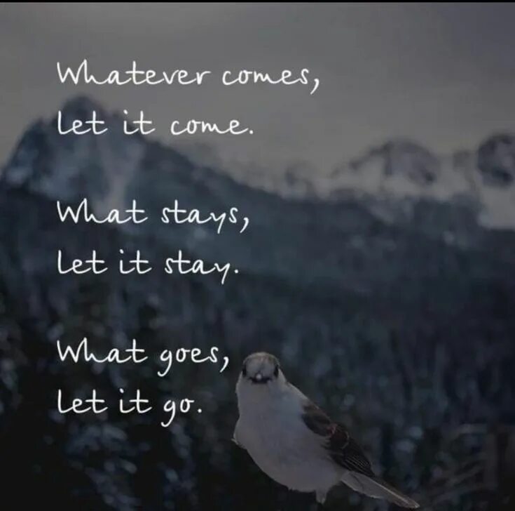 It is come magic. If it come let it, if it gone let it. let me stay by by ten.