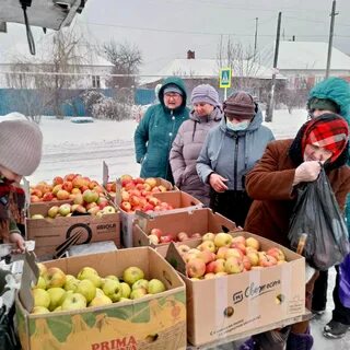 Новое дубовое хлевенский