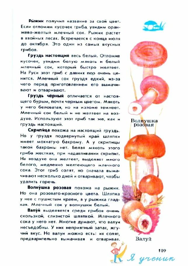 съедобные грибы атлас определитель. съедобные грибы 2 класс окружающий мир атлас.