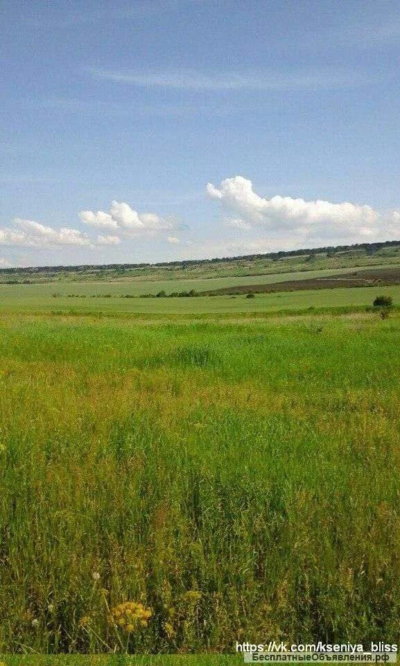 Курсавка Ставропольский край фото. Купить земельный участок в Ставропольском крае. Куплю землю в машкачиикиров. Купить землю ставропольский край