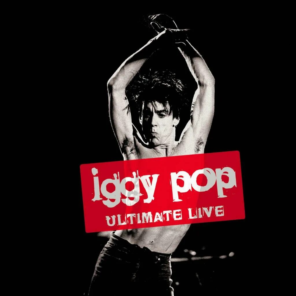 Iggy pop in the death. Игги поп 1990. игги поп 1978. iggy pop обложки альбомов. игги поп 2010.