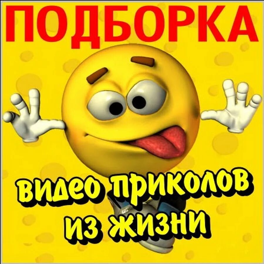 Прикольный мобильник. Обезьяна в зоопарке. Забавные ролики про животных. Смешные персонажи. Девушка с собакой на пляже.