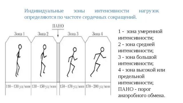 Нагрузки основные группы. Четыре зоны интенсивности нагрузок по ЧСС. Зоны интенсивности физических нагрузок (по частоте пульса). Зоны интенсивности по частоте сердечных сокращений. Зоны интенсивности нагрузок по частоте сердечных сокращений ЧСС.