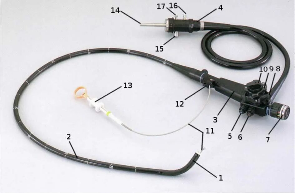 Как выглядит зонд. Сигмоидофиброскоп Pentax FS-34v. Pentax fb-10v. Гастроскоп EG-500. Ультратонкий гастроскоп Olympus.