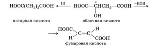 Образование яблочной кислоты