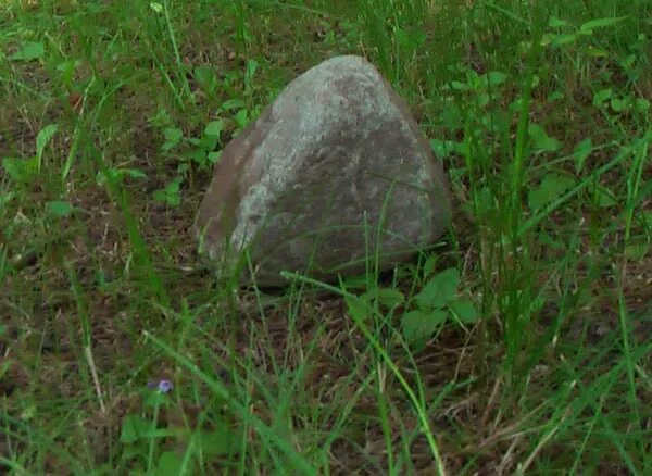Камень том 1. Камень обычный. Валун в лесу. Камень обычный один. Камень в плохом качестве.