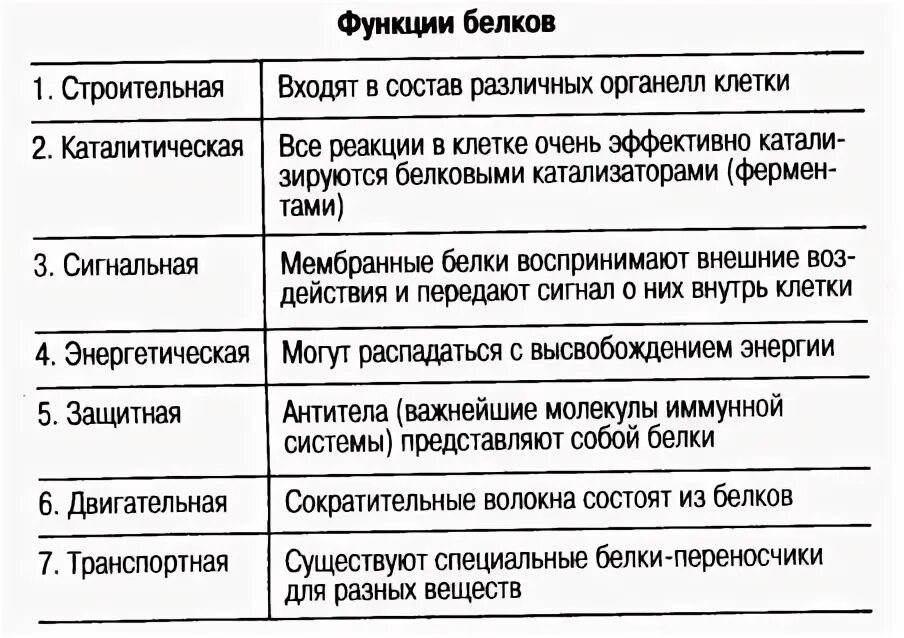 Функции белков в организме в 2020 г Уроки биологии, Учащиеся медучилища, Биологи
