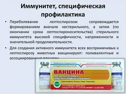 Специфические профилактические препараты