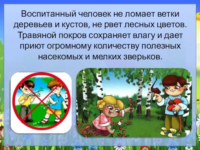Почему нельзя в саду. Нельзя ломать деревья. почему нельзя ломать деревья. правила поведения в природе не ломать ветки. нельзя ломать ветки деревьев.