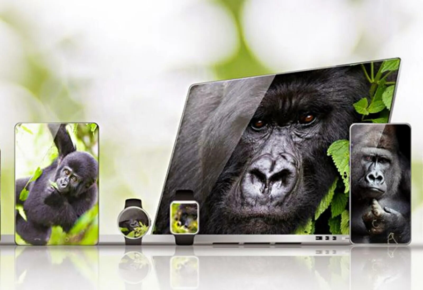 Корнинг горилла Гласс. Gorilla Glass Victus 2. Gorilla Glass Victus. Gorilla Glass 5. Corning gorilla victus