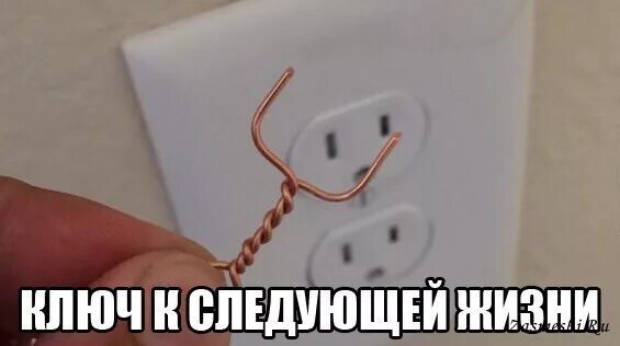 Какая следующая жизнь