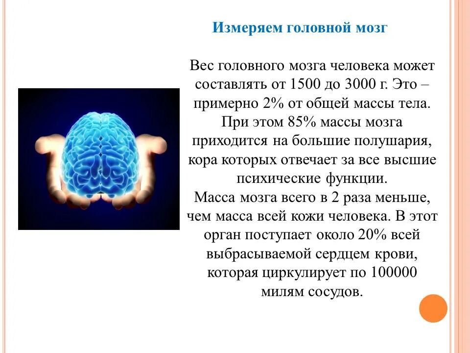 Когда день мозгов. Всемирный день мозга. 22 Июля Всемирный день мозга. Всемирный день мозга поздравления. День мозга 22 июля картинки.