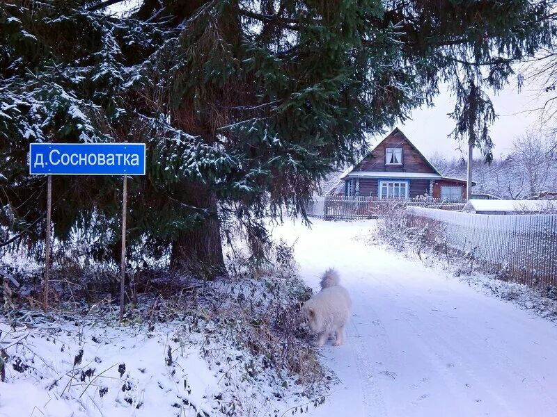 Деревня основы. Деревня сосноватка. деревня сосноватка зима и осень на одной улице.