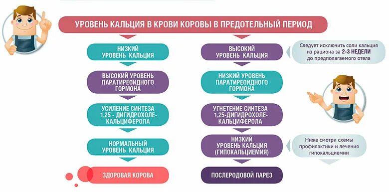 Изменения кальция в крови. Низкий кальций в крови симптомы. Низкий уровень кальция в крови симптомы. Кальций уровни. Уровень кальция в крови.